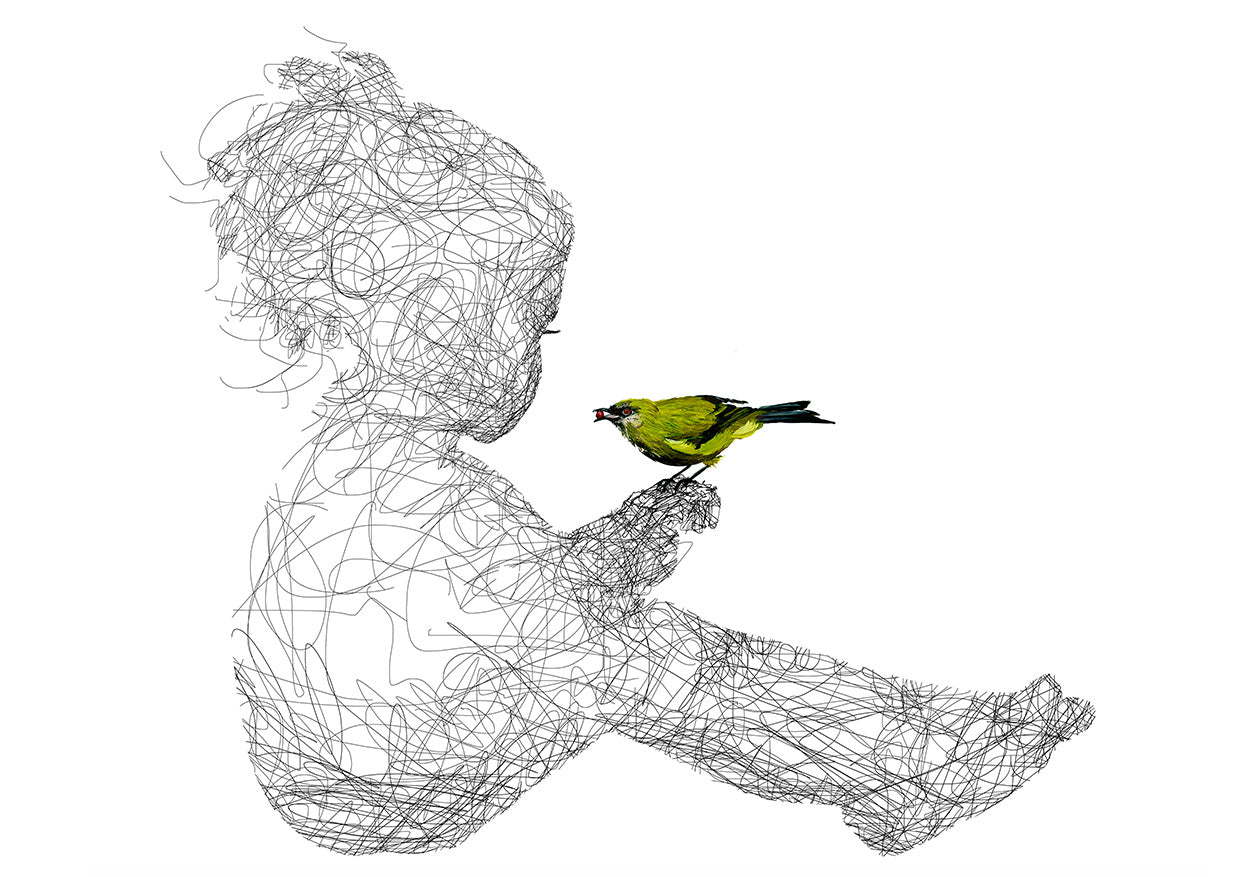 The Gift Bellbird   - Signed